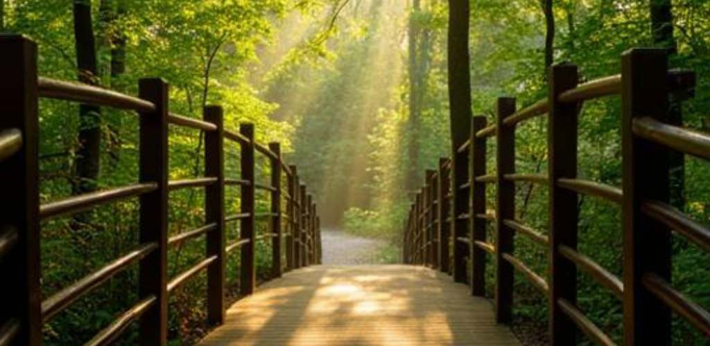Wooden footbridge in a sunlit green forest, with beams of light streaming through trees.